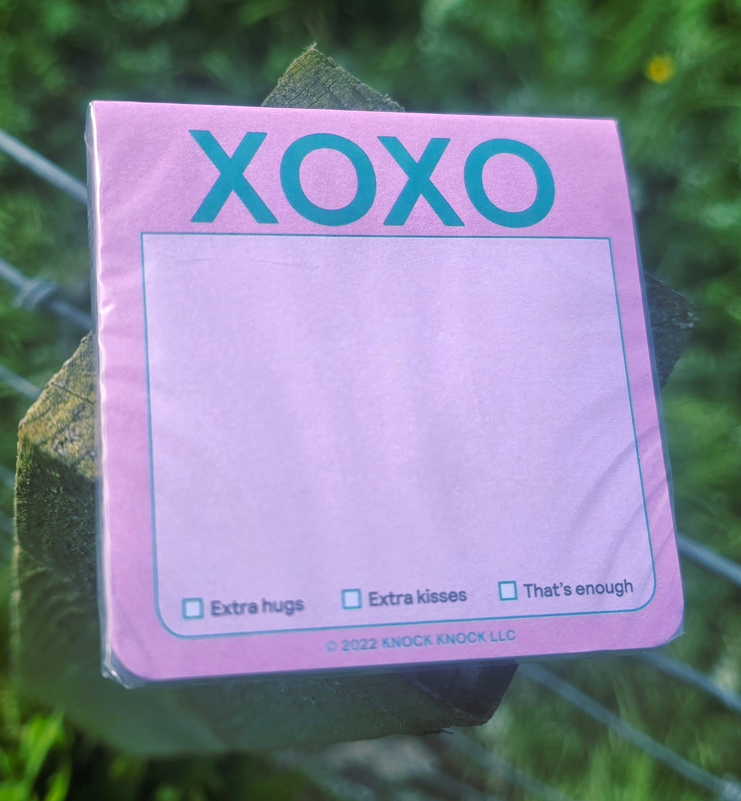 Cute Memo Pad - XOXO